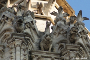 Detalhes das famosas gárgulas de Notre Dame.