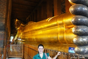 Buda Reclinado (15m x 46m).