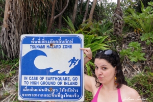 Avisando que o risco de repetir o tsunami de 2004 ainda existe.